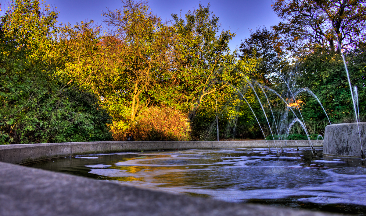 view from the shortcut home