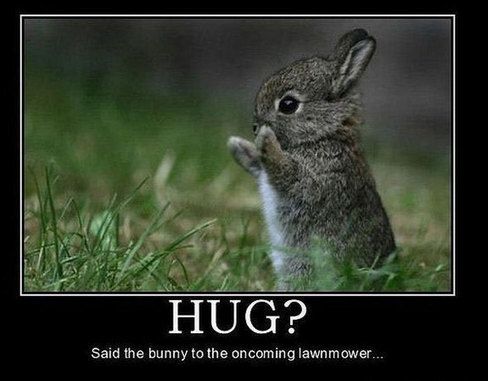 Bunny&lt;3