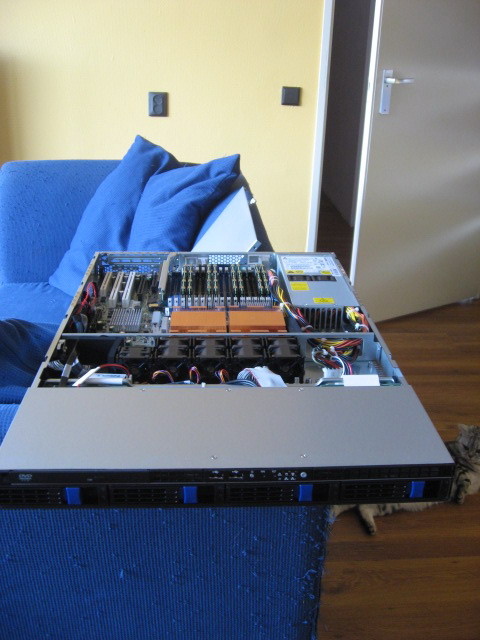 fotos 228.jpg
