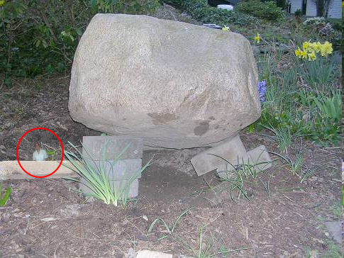 spa-stone.png